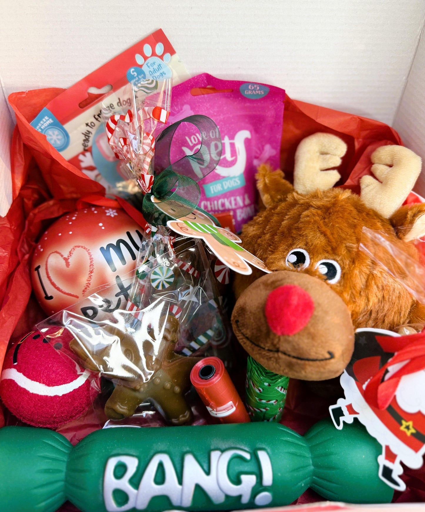 Christmas Toy & Treat Bigger Gift Box
