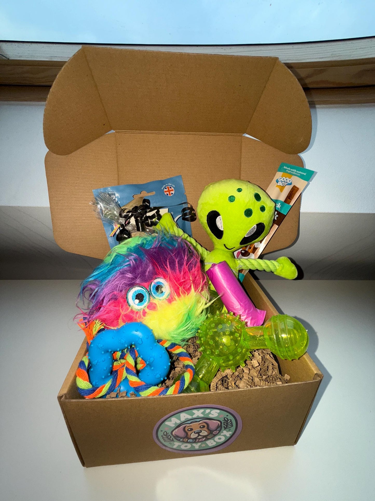 Alien Adventure Dog Gift Toy & Treat Box