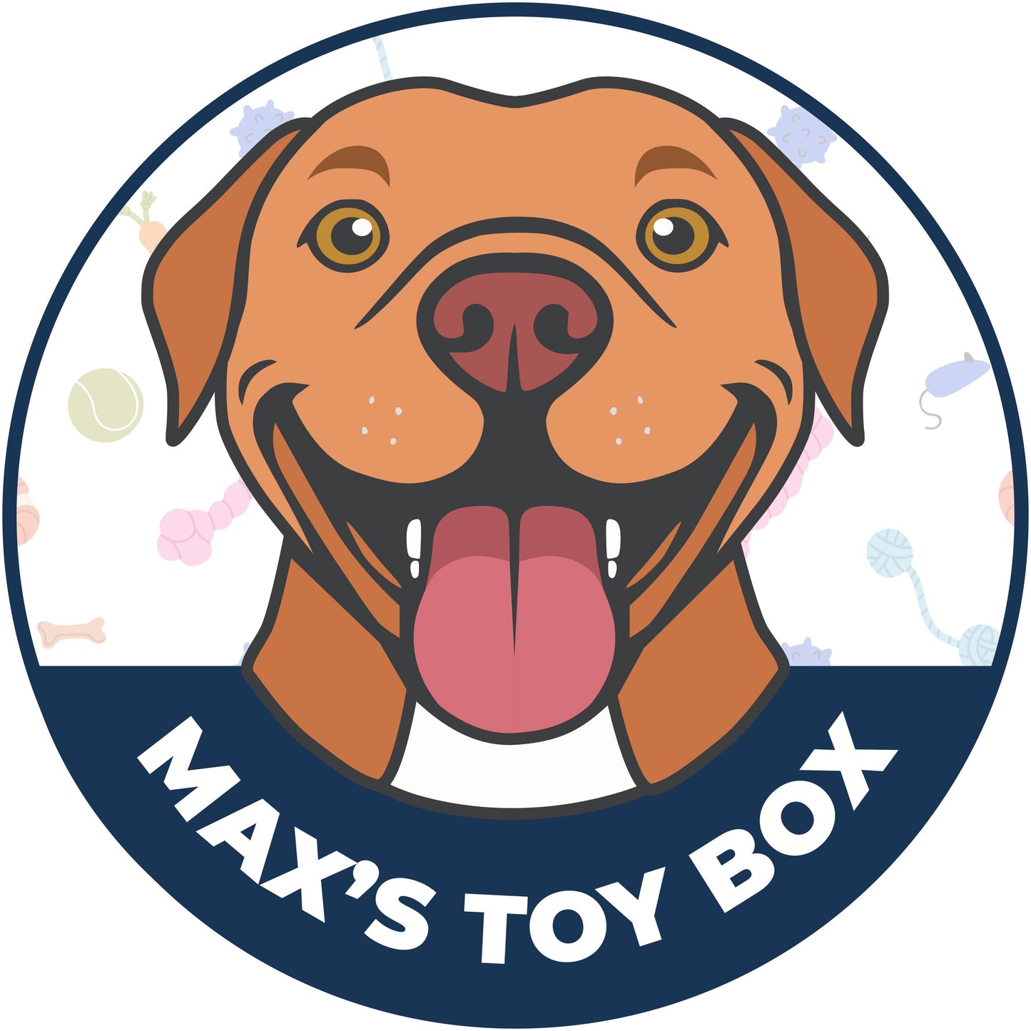 Christmas Dog Toy Treat Box