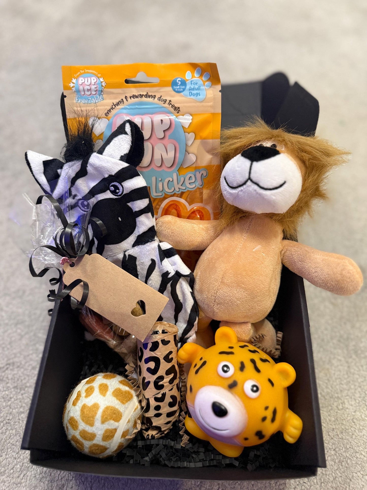 Christmas Day Dog Safari Toy & Treat Box