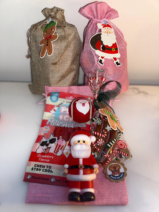 Santa Dog Toy & Treat Gift Sacks