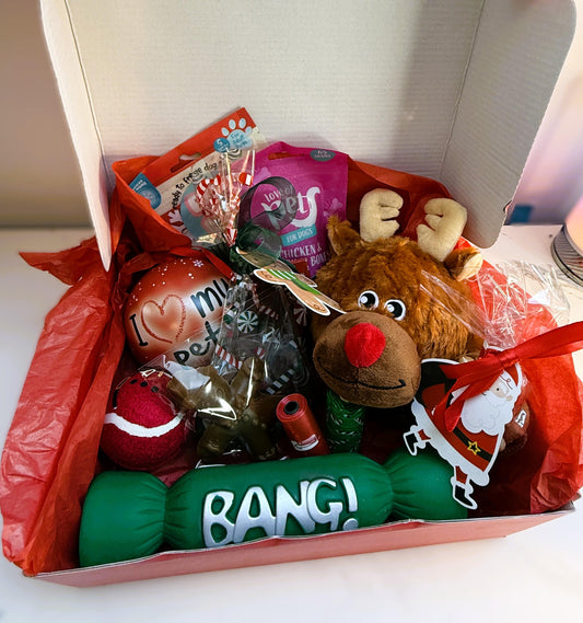Christmas Toy & Treat Bigger Gift Box