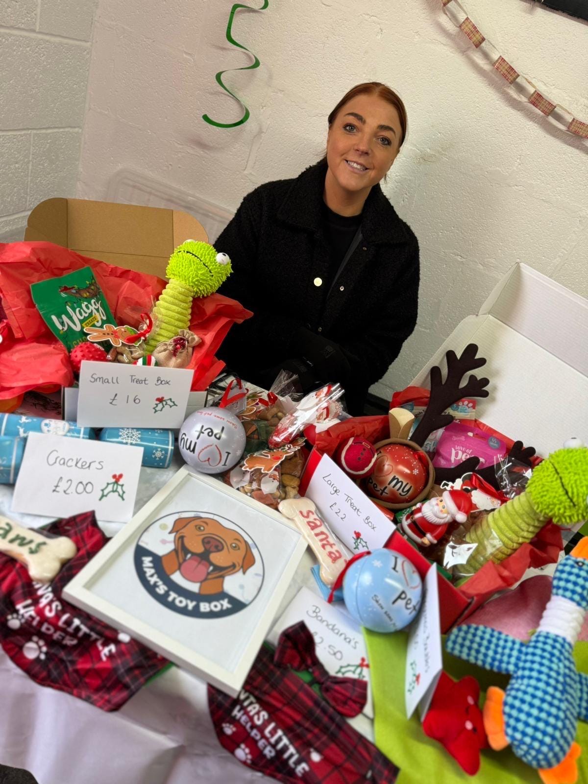 Christmas Day Dog Toy & Treat Box