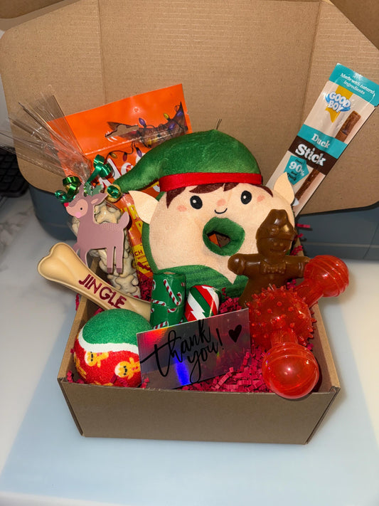 Christmas Day Dog Toy & Treat Box