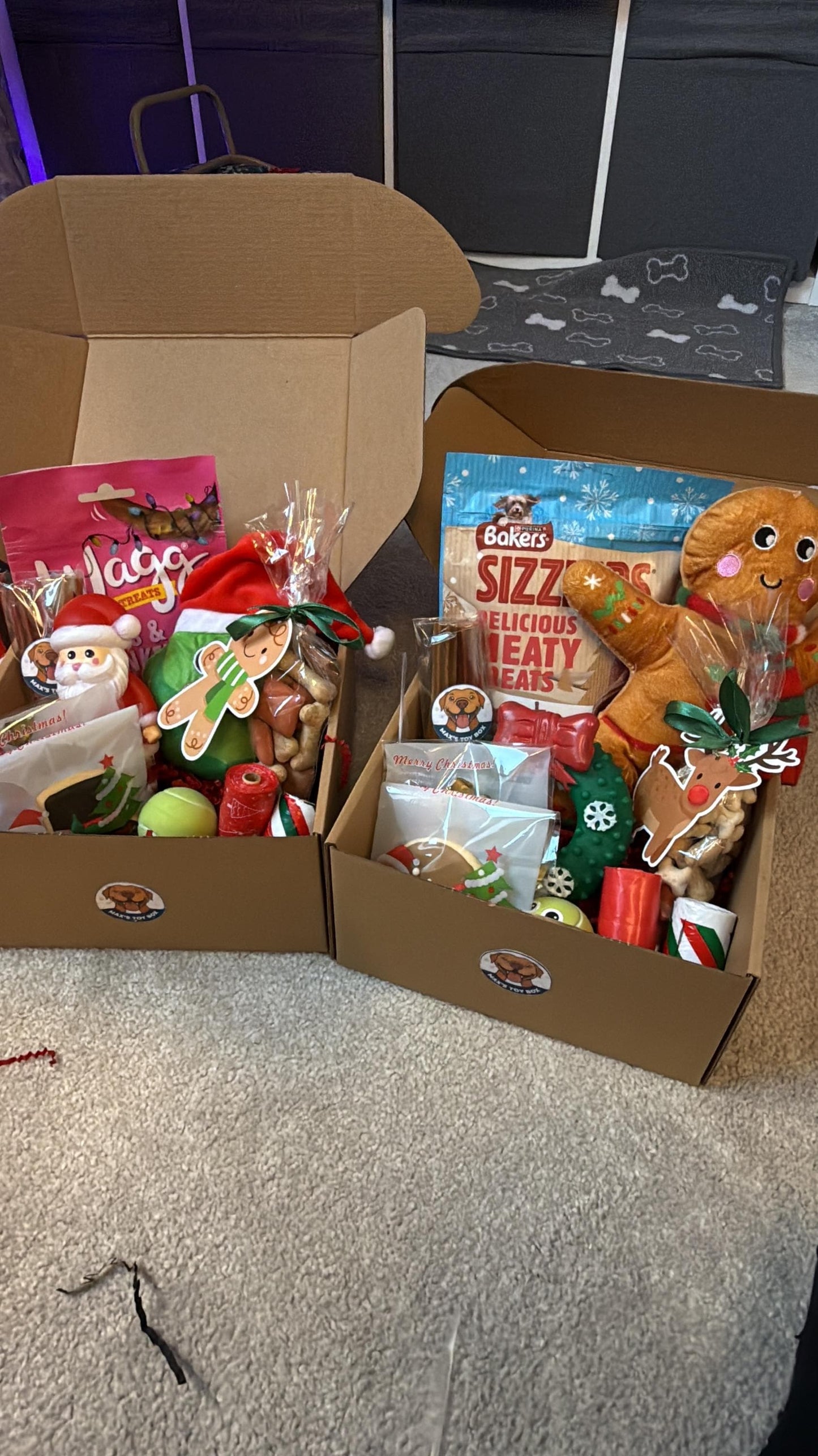 Christmas Dog Toy Treat Box
