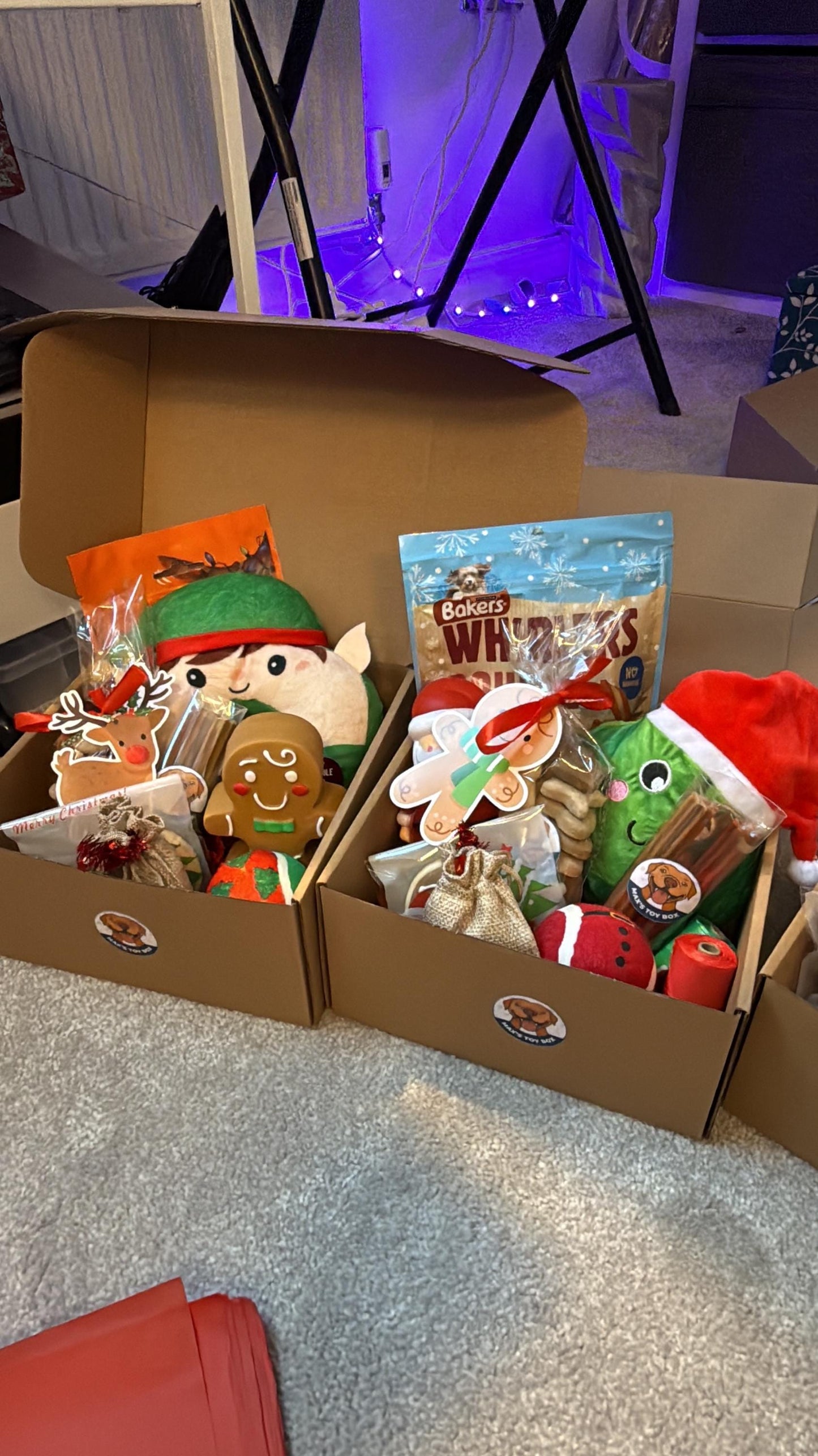 Christmas Day Dog Toy & Treat Box