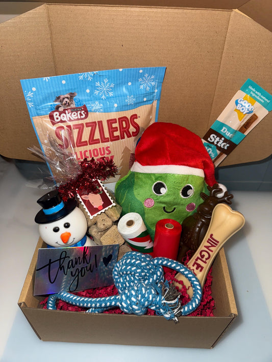 Christmas Day Dog Toy & Treat Box