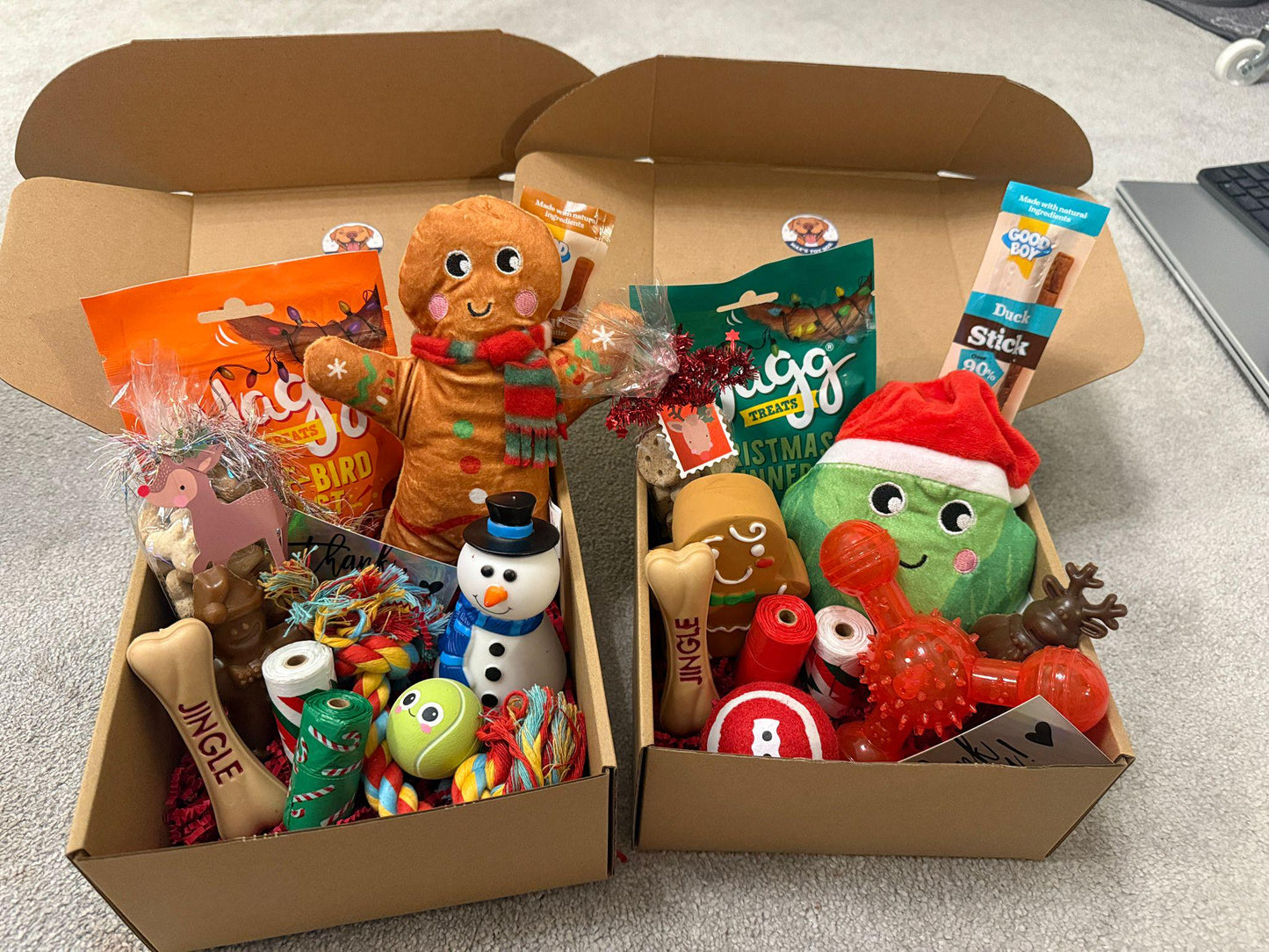 Christmas Day Dog Toy & Treat Box