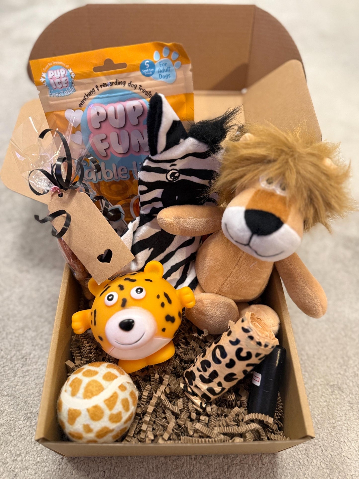 Christmas Day Dog Safari Toy & Treat Box