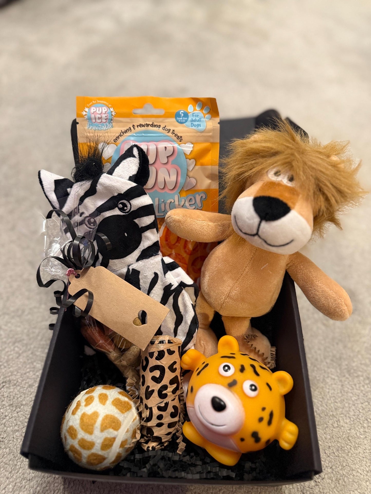 Christmas Day Dog Safari Toy & Treat Box