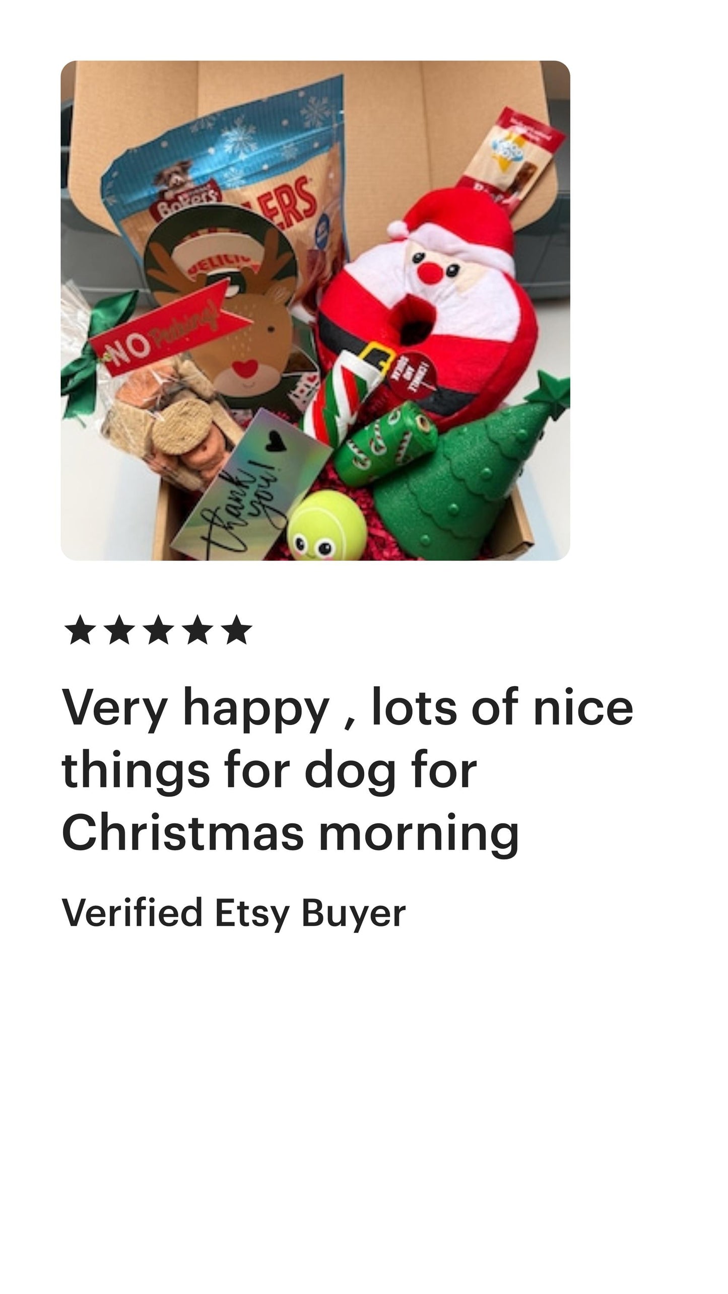 Christmas Day Dog Toy & Treat Box