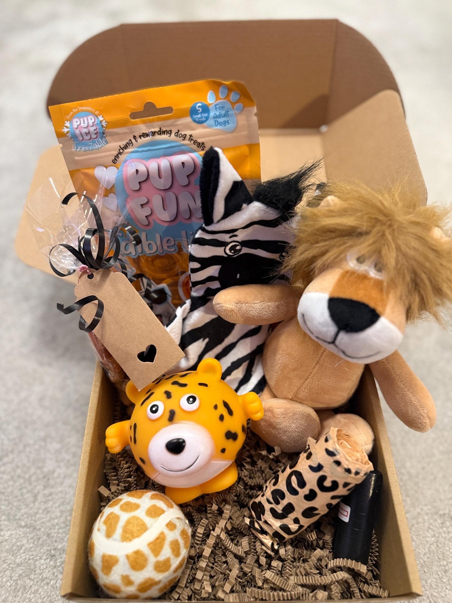 Christmas Day Dog Safari Toy & Treat Box