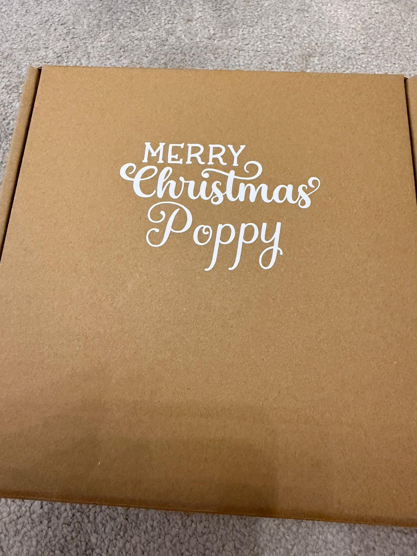 Christmas Dog Toy Treat Box