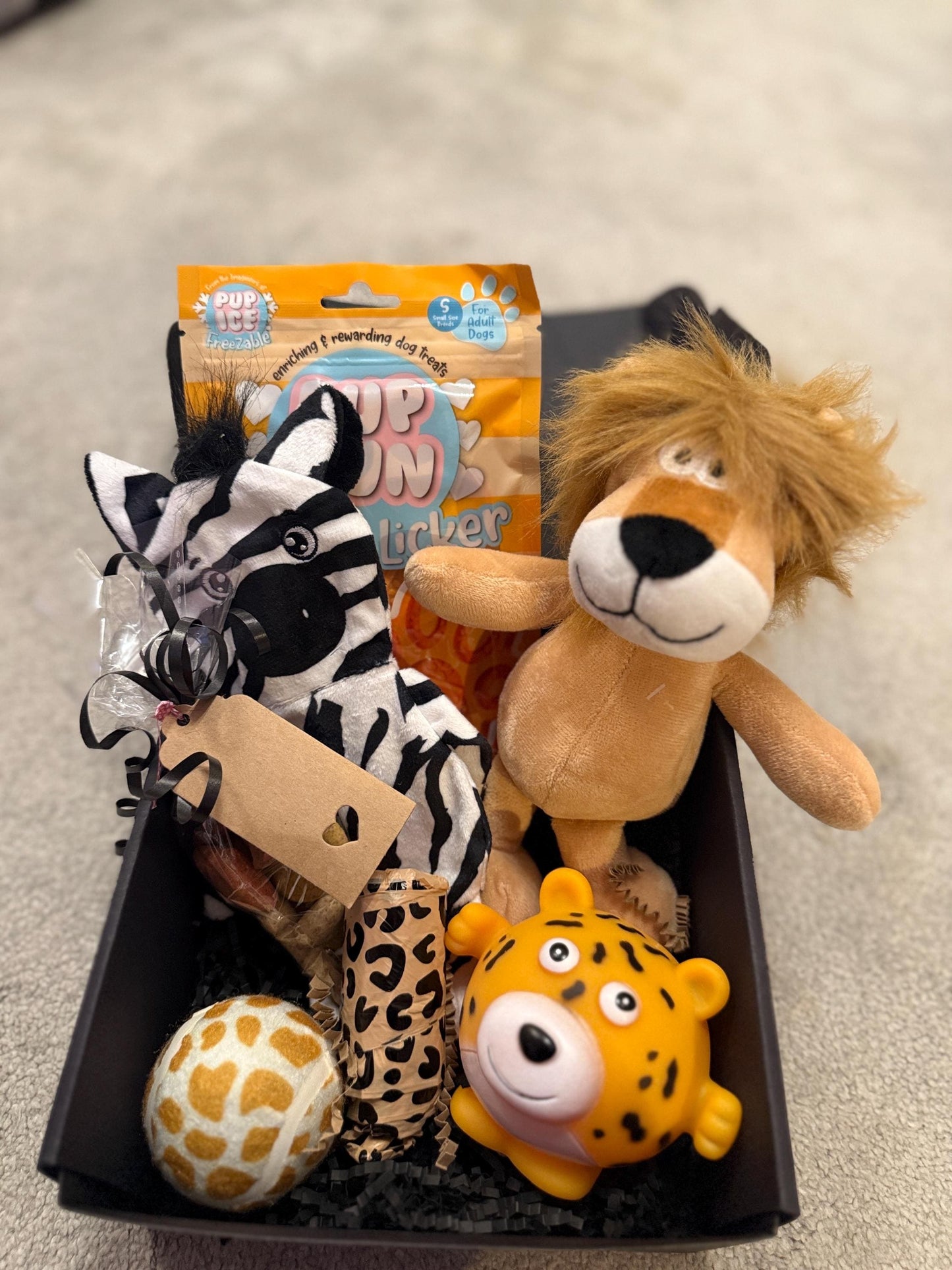 Christmas Day Dog Safari Toy & Treat Box