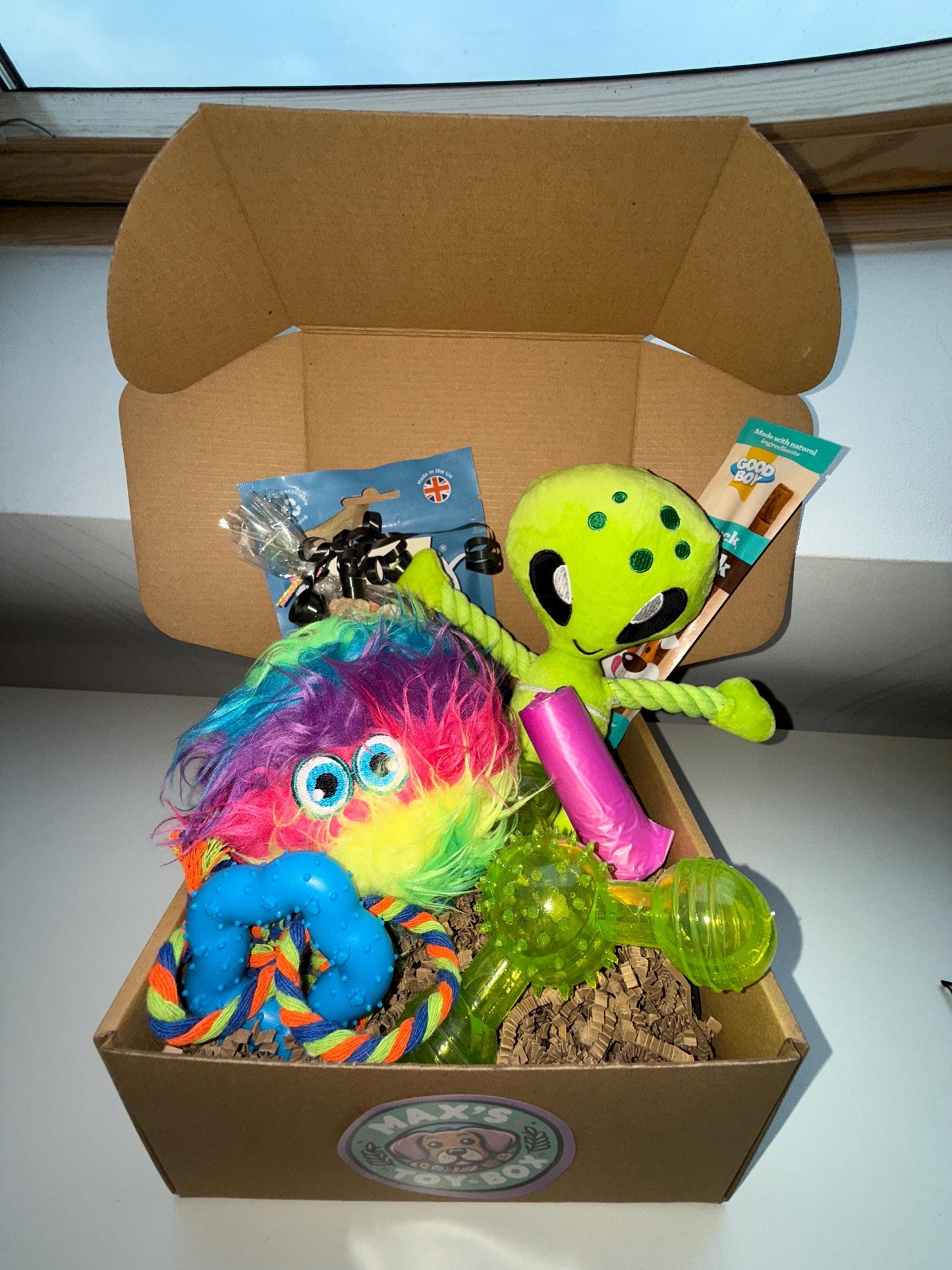 Alien Adventure Dog Gift Toy & Treat Box