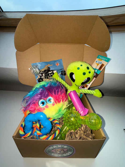 Alien Adventure Dog Gift Toy & Treat Box