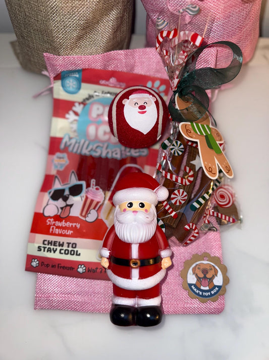 Santa Dog Toy & Treat Gift Sacks
