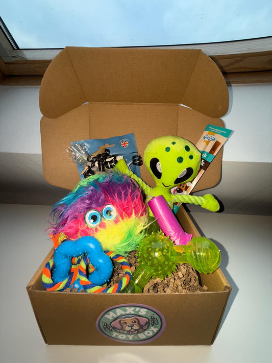 Alien Adventure Dog Gift Toy & Treat Box