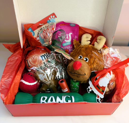 Christmas Toy & Treat Bigger Gift Box