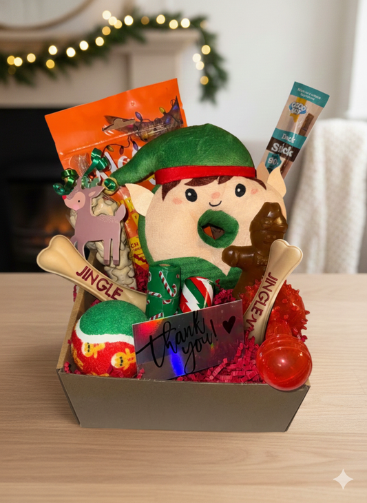 Christmas Dog Toy Treat Box